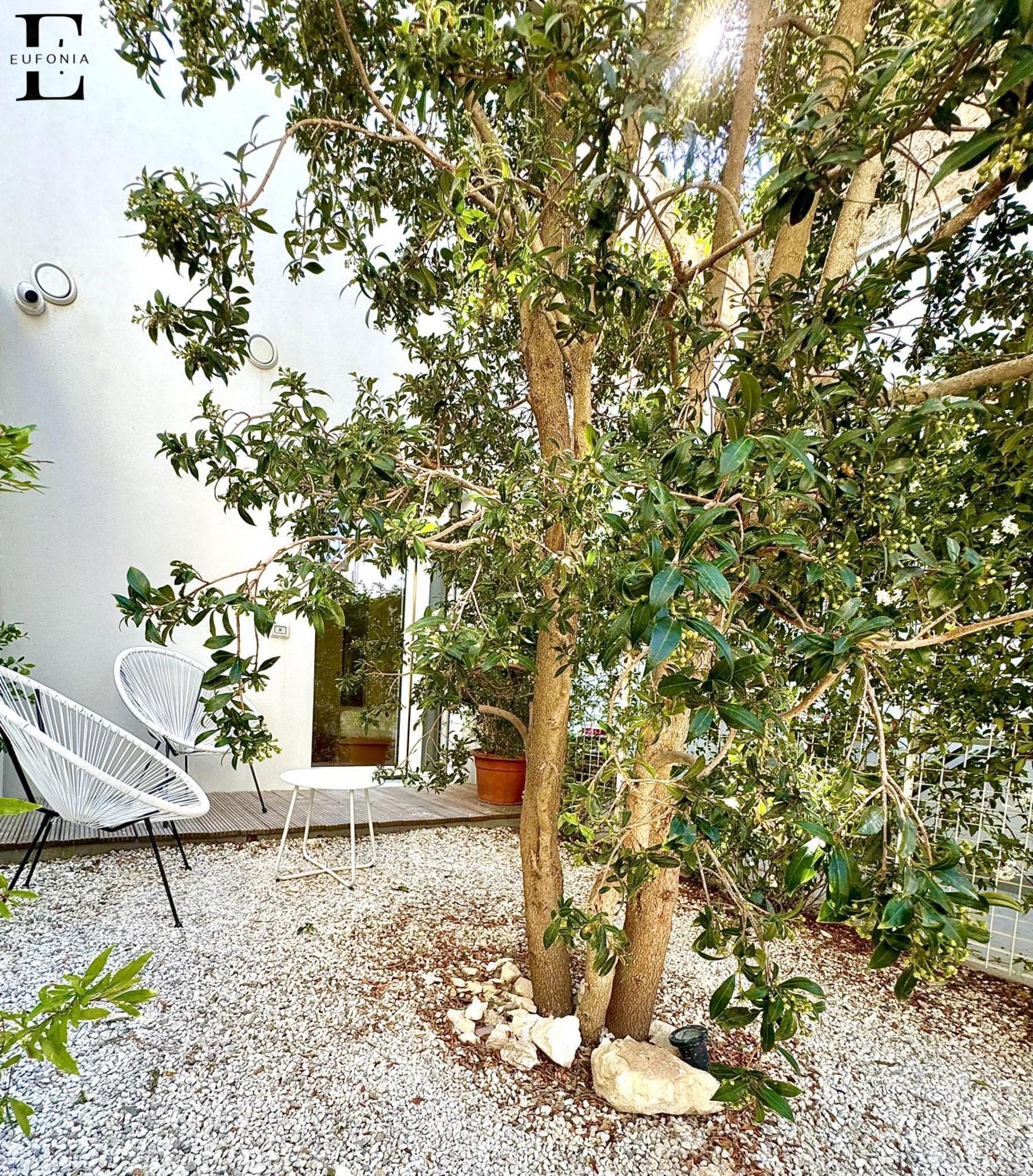 Eufonia Bed and Breakfast Λέτσε Εξωτερικό φωτογραφία